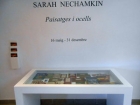 Illustrations and graphic work by Sarah Nechamkin, 1937–2006